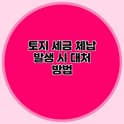 토지 세금 체납 발생 시 대처 방법