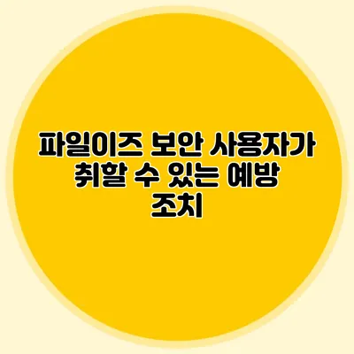 파일이즈 보안 사용자가 취할 수 있는 예방 조치