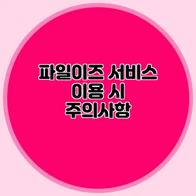 파일이즈 서비스 이용 시 주의사항