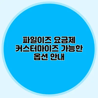 파일이즈 요금제 커스터마이즈 가능한 옵션 안내