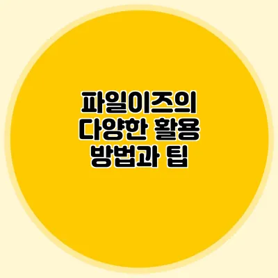 파일이즈의 다양한 활용 방법과 팁