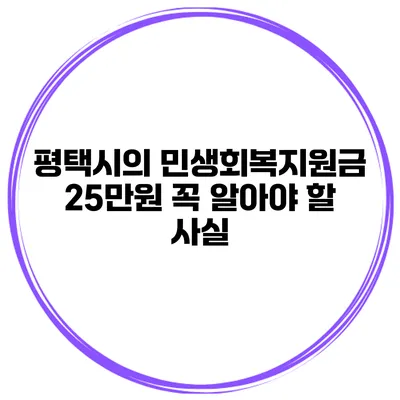 평택시의 민생회복지원금 25만원 꼭 알아야 할 사실