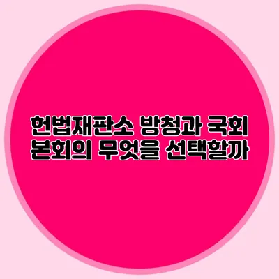 헌법재판소 방청과 국회 본회의 무엇을 선택할까?