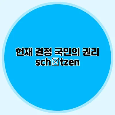 헌재 결정 국민의 권리 schützen