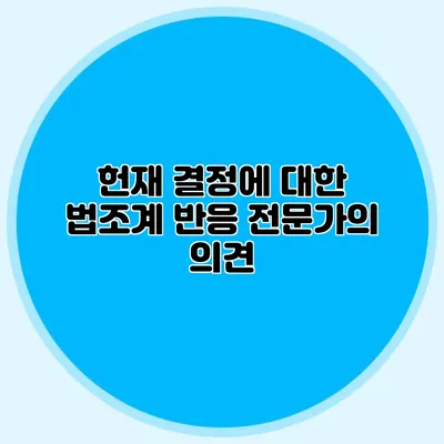 헌재 결정에 대한 법조계 반응 전문가의 의견