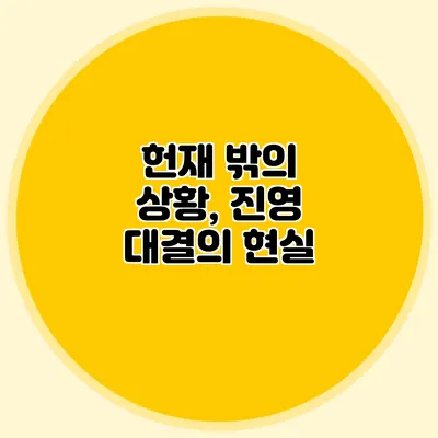 헌재 밖의 상황, 진영 대결의 현실
