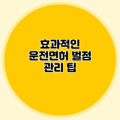 효과적인 운전면허 벌점 관리 팁