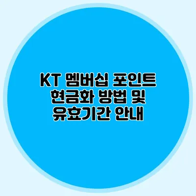 KT 멤버십 포인트 현금화 방법 및 유효기간 안내
