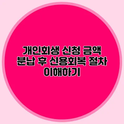 개인회생 신청 금액 분납 후 신용회복 절차 이해하기