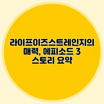 라이프이즈스트레인지의 매력, 에피소드 3 스토리 요약