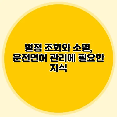 벌점 조회와 소멸, 운전면허 관리에 필요한 지식