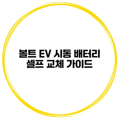 볼트 EV 시동 배터리 셀프 교체 가이드
