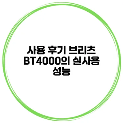 사용 후기 브리츠 BT4000의 실사용 성능