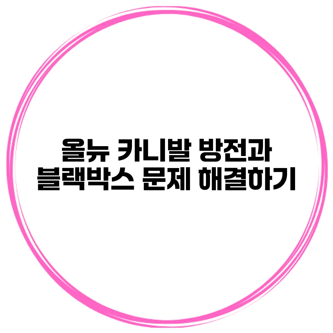 올뉴 카니발 방전과 블랙박스 문제 해결하기