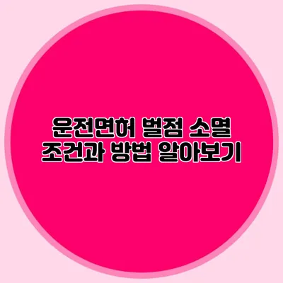 운전면허 벌점 소멸 조건과 방법 알아보기