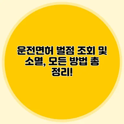 운전면허 벌점 조회 및 소멸, 모든 방법 총 정리!