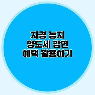 자경 농지 양도세 감면 혜택 활용하기