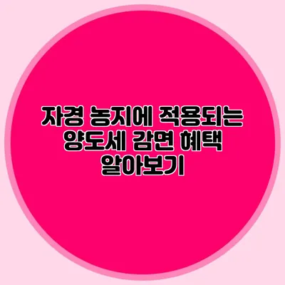 자경 농지에 적용되는 양도세 감면 혜택 알아보기
