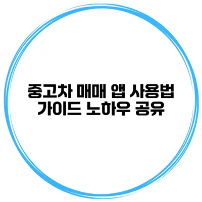 중고차 매매 앱 사용법 가이드 노하우 공유