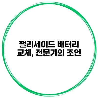 팰리세이드 배터리 교체, 전문가의 조언