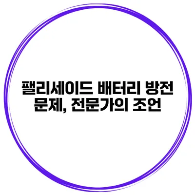 팰리세이드 배터리 방전 문제, 전문가의 조언