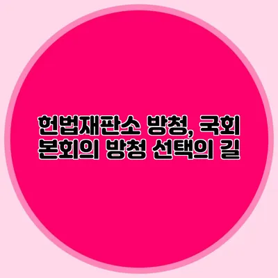 헌법재판소 방청, 국회 본회의 방청 선택의 길